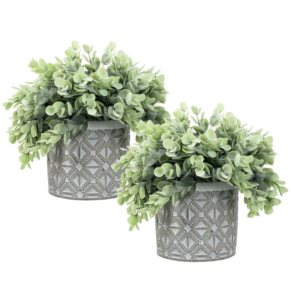 6919 Artificial Eucalyptus Plant in Modern Gray Concrete Pots